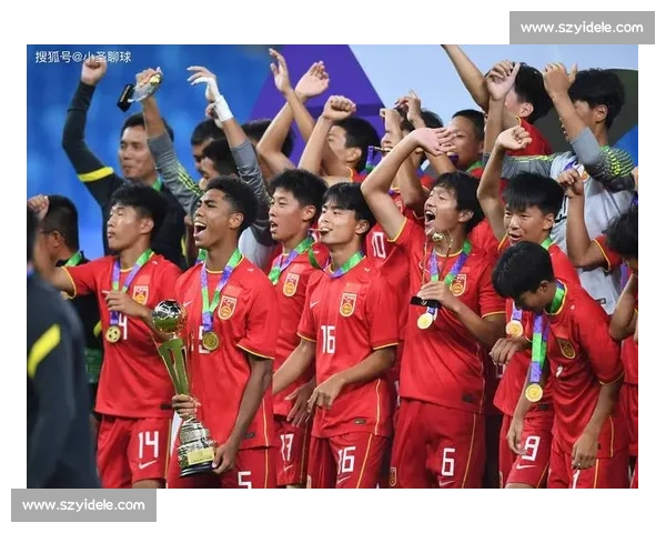 2017年中国国家足球队征战历程回顾与表现分析